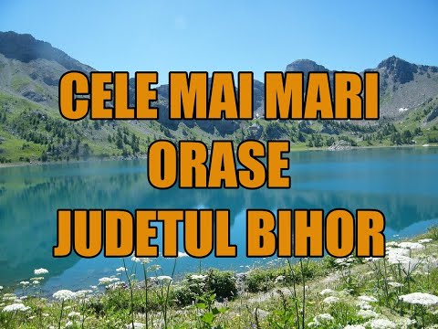 Cele mai mari orase din Judetul Bihor!