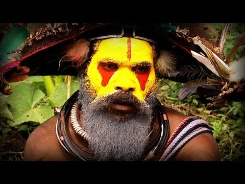 Ambassadors of the Jungle