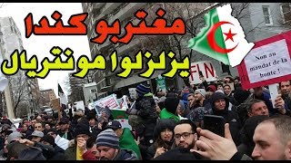 من قلب كندا الشعب الجزائري يتظاهر و يصنع التاريخ، و يُسمع صوته للعالم أكمل.