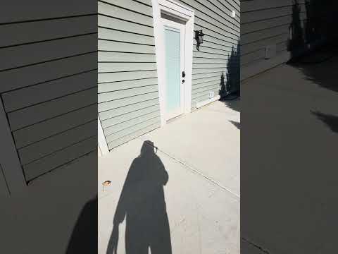 37-39 E Larrabee St - Video 2 of 2