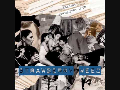 Video thumbnail for Strawberry Weed