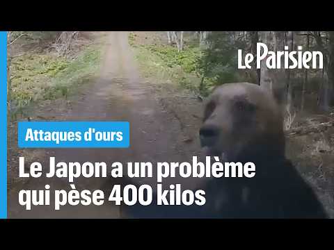 Deadly bear attacks in Japan: Army deployed to stop the carnage
