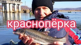 Ссылка