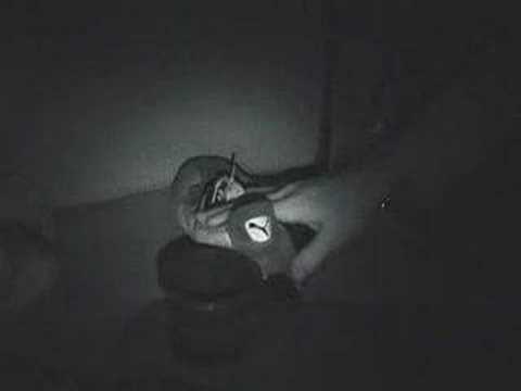 Really Real Show 24 - Family Force 5