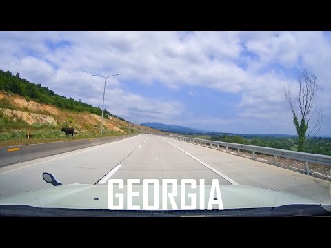 Best of #ASOT1033 | Armin Van Buuren & Paul Oakenfold – Sonata, Visa Seppänen – Night Harmony