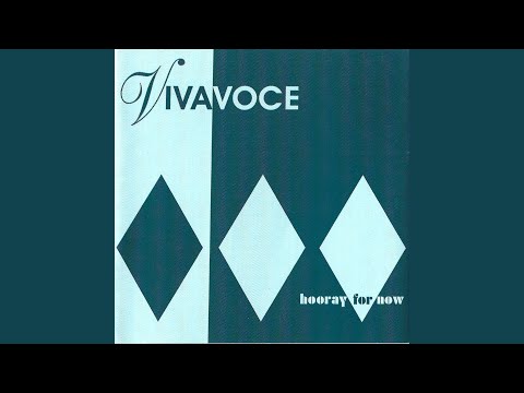 Shining in My Shoes - Viva Voce