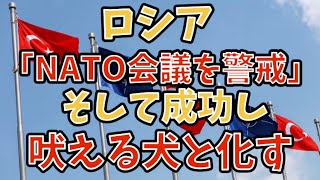 ロシア「NATO会議を警戒」そして成功。吠える犬と化す。#政治　#国際情勢 #安全保障 #ロシア #ウクライナ 