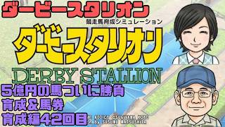 【ダビスタ】育成＆馬券対決 42育成編 雑談でもしながら #競馬 #ダビスタ #ダービースタリオン #育成