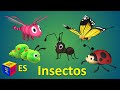 Aprendemos Los Insectos Y Escuchamos Sus Sonidos Dibujo Animado Para Niños En Español