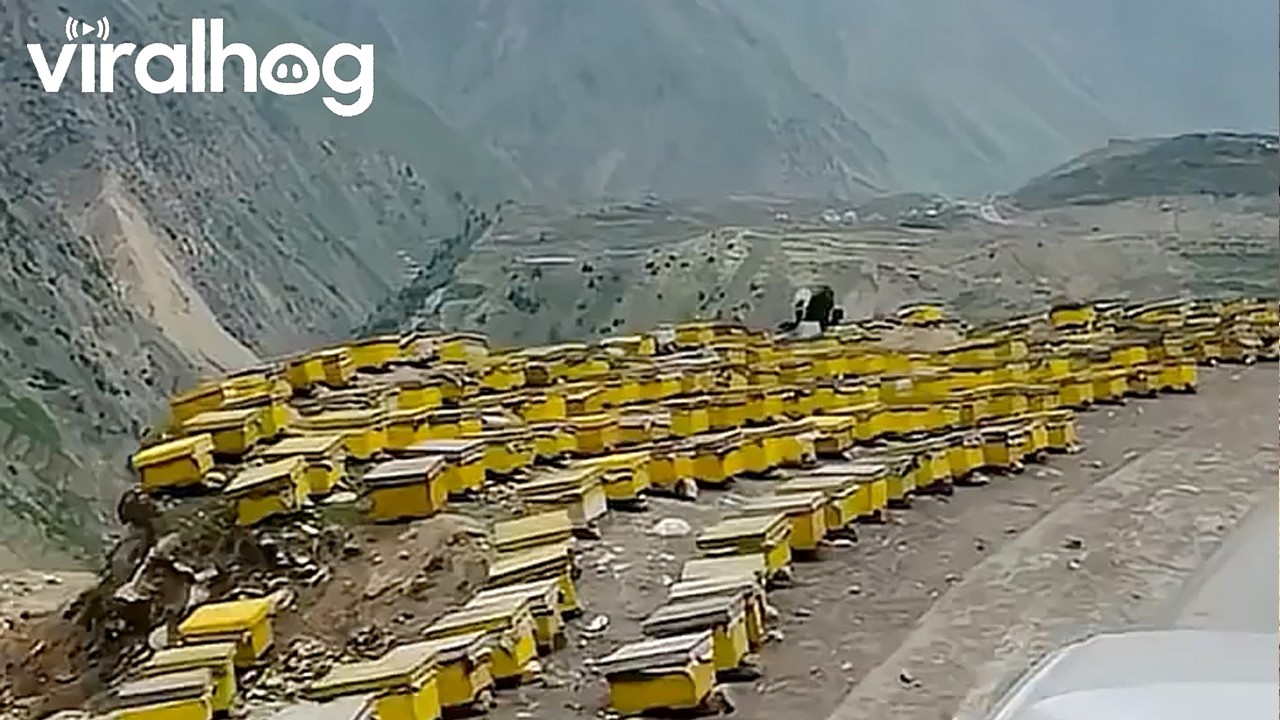 Making a Natural Refrigerator in Pakistan || ViralHog