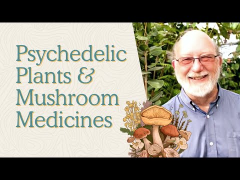 Dennis McKenna’s Take on Psychedelic & Functional Mushrooms