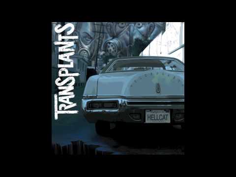 One Seventeen - Transplants