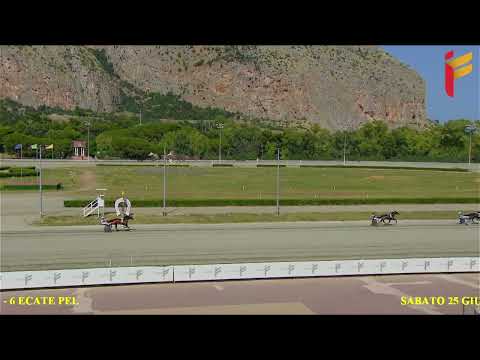 Prova di qualifica del 25 giugno 2022 - 2 Anni - Metri 1600