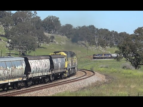 QUBE and SSR Grain services crossing at Fish River NSW 2nd Nov 2025