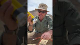 Have you ever seen real dynamite before? #explosions #dynamite