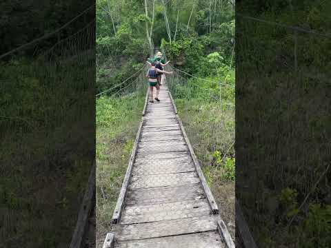 Ponte balança mas não cai #bonito #matogrossodosul #aventura #diversão