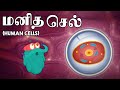 மனித செல்கள் Human Cells Science Videos In Tamil Dr Binocs Tamil Kids Learning