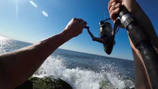 Catching Bait On The Beach