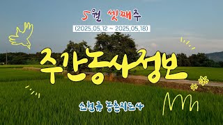 ✨[ 주간농사정보 ] 5월 3째주 (2025. 05. 19. ~ 05. 25.)