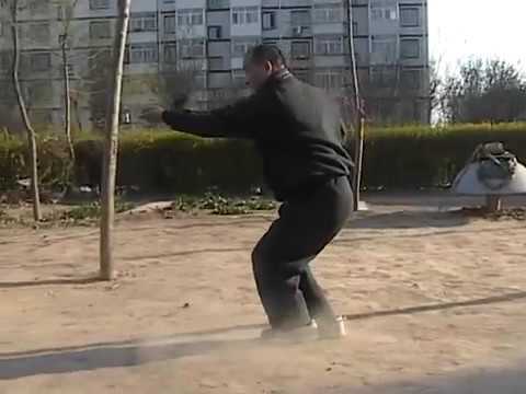 Shang Xing Yi Quan   Wu Xing Five Elements