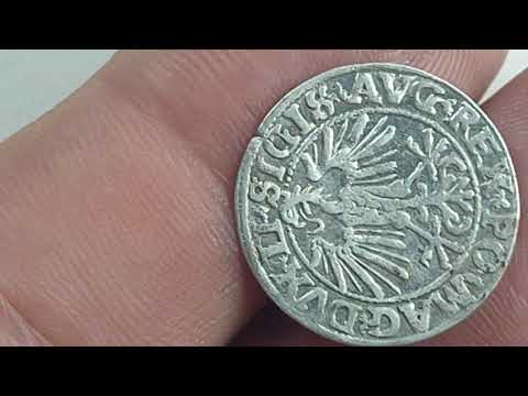 Półgrosz Litewski 1549 r. Zygmunt II August