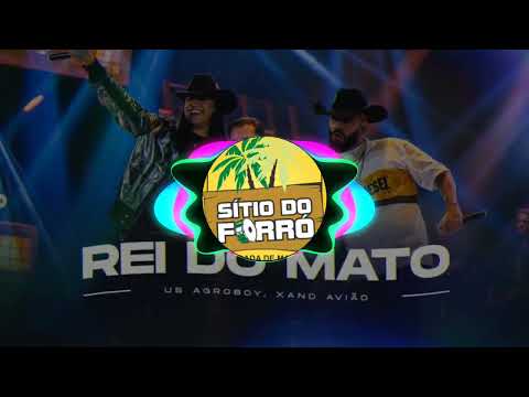 REI DO MATO - US AGROBOY Feat XAND AVIÃO