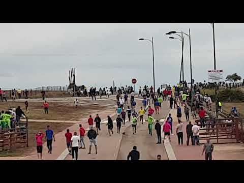 Encierro mixto #Fuenteguinaldo 26/08/2019