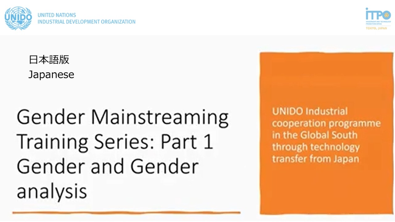 ジェンダー主流化とは？企業活動に活かす視点（UNIDO Global South プログラム 講習）Gender mainstreaming in business practice