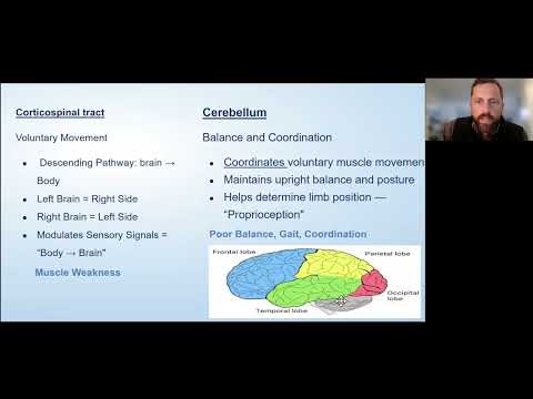 Virtual Education Session: Balance and Coordination with MS
