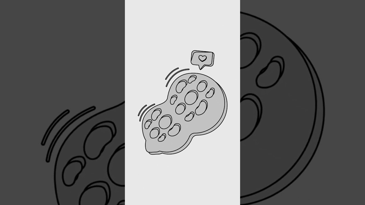 Peanut vector illustration