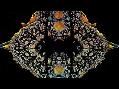 Adham Shaikh - WhompStomp (OFFICIAL VISUALIZER)