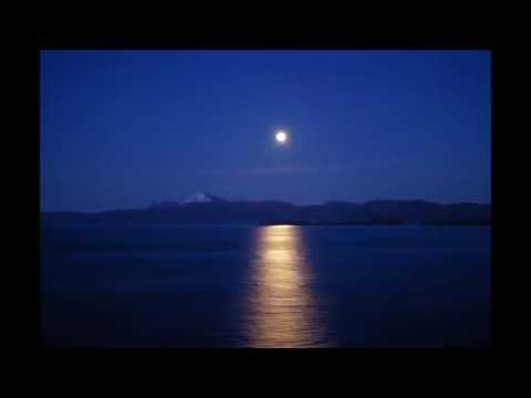 Fonzerelli vs. Tom Fall & Ben Nicky - Moonlight Hammer (Myon & Shane 54 Miami Mashup)