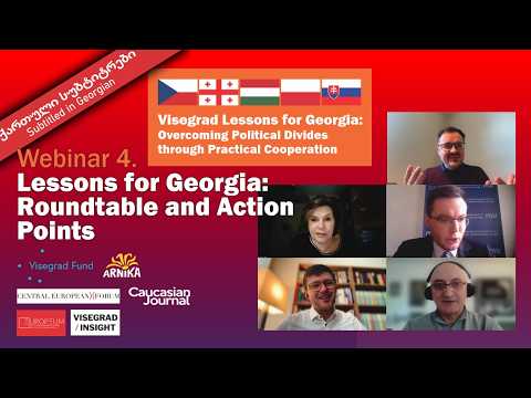 Visegrad Lessons for Georgia — Part 4: Lessons for Georgia: Roundtable and Action Points