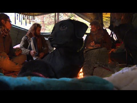 TeleBärn - Winter bei den Waldmenschen