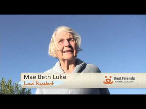 Circleville TNR Success