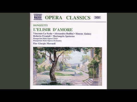 L'elisir d'amore: Act I Scene 5: Cavatina - Udite, udite, o rustici