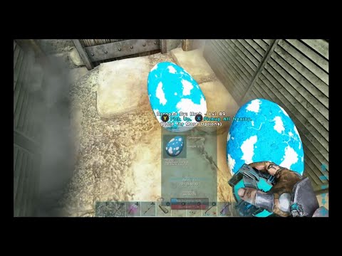 Breeding Argentavis' and Raising a Deinonychus - Ark Survival Evolved, Xbox One [E14]