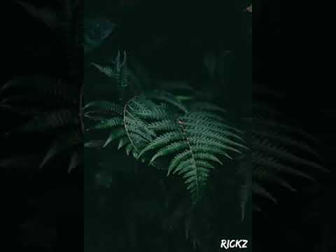 Deep Techno by Rickz