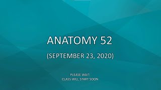Anatomy 52 (September 15, 2020)