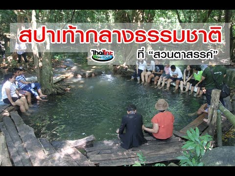 โรคสะเก็ดเงินและไรฝุ่น ดื่มโรคสะเก็ดเงินโซเดียมไธโอซัลเฟต