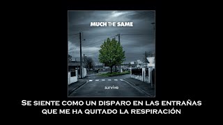 Much the Same - Gut Shot (Sub Español)