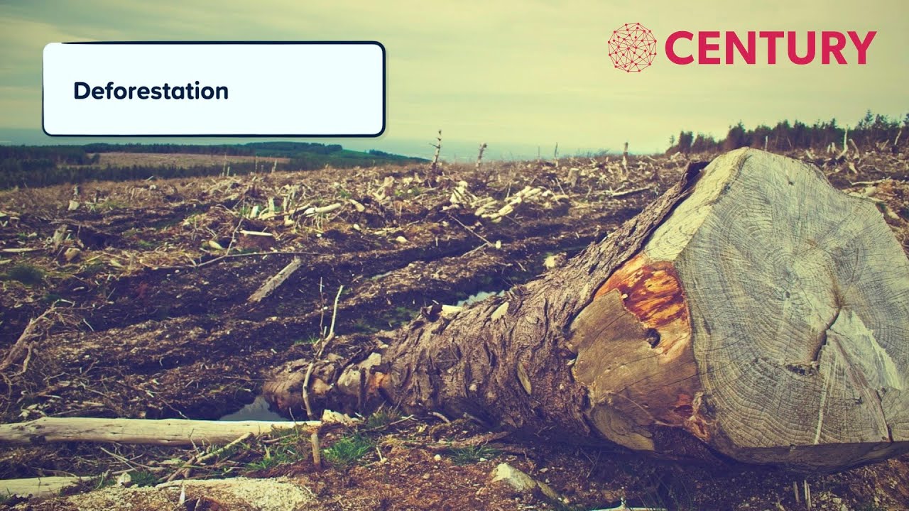 Human Impact on Ecosystems |  KS3 Science