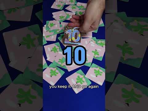 Memory Island with Stu Teacher