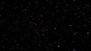 Joy Williams - What a Good Woman Does En Español