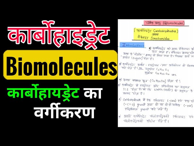 Understanding Carbohydrates: Classification and Functions | Galaxy.ai