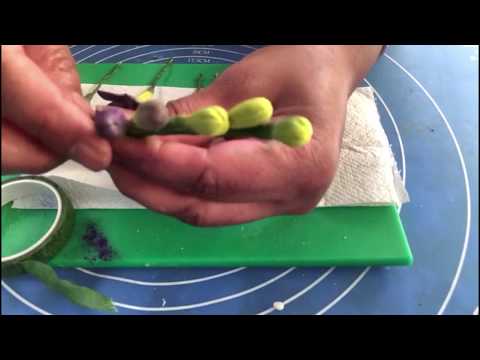 How To Make Freesia Sugar Flowers Tutorial