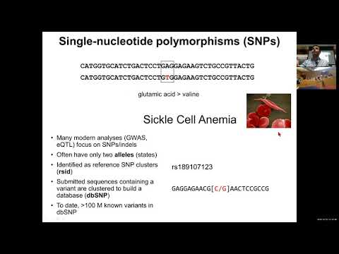 MIT CompBio Lecture 13 - Population Genomics