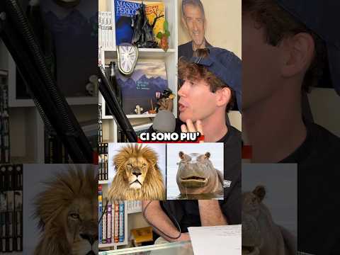 Voi Quali Avreste Detto?