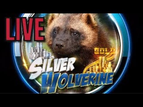 2023 Morgan & Peace Proof Silver Dollars being released Live! With @NicsCoins