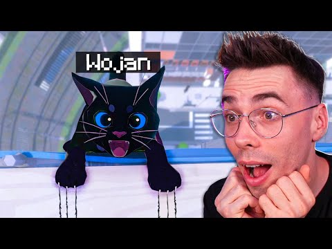 MAŁY KOTEK WOJAN w WIELKIM MIEŚCIE! *CAŁA GRA*